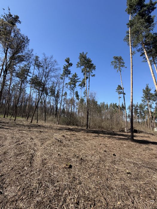Продаж ділянок КМ Нова Ходосівка 8-10 соток с. Ходосівка Новообухівська траса всі комунікаціі МегаМаркет Alfresco