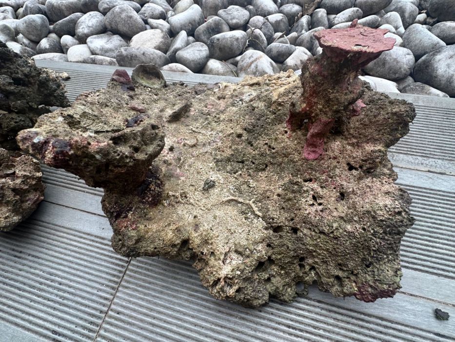 Rocha viva de aquário Reef (água salgada) 71kg