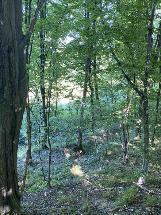 Власник.Продам.Обмін зем ділянку з кад.номер. 7км від Косова.1.га