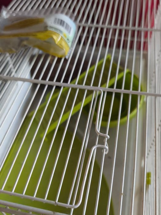 Gaiola branca com alguns acessórios