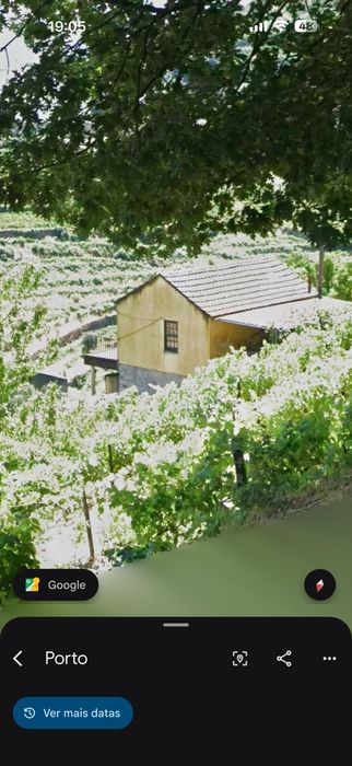 Quinta com vinha, casa e adega – Baião (próxima do Douro)