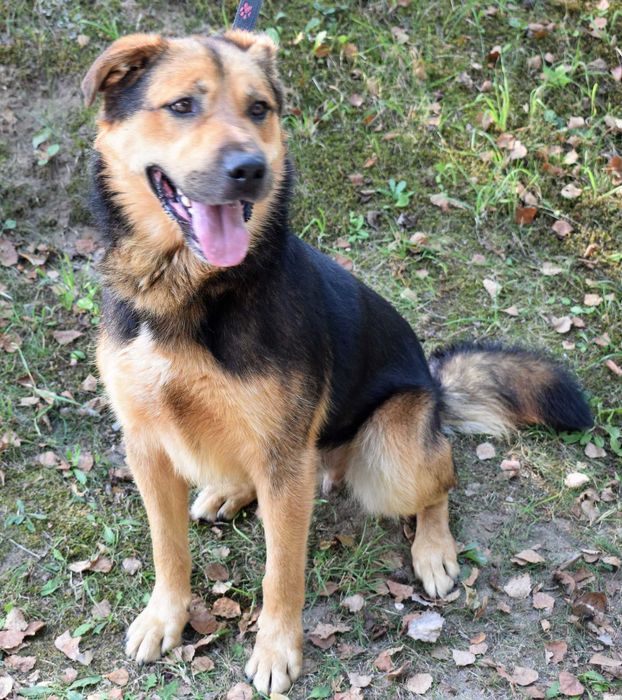 Hans szuka odpowiedzialnego człowieka