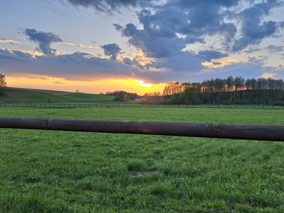 Domek letniskowy nad rzeką Wel