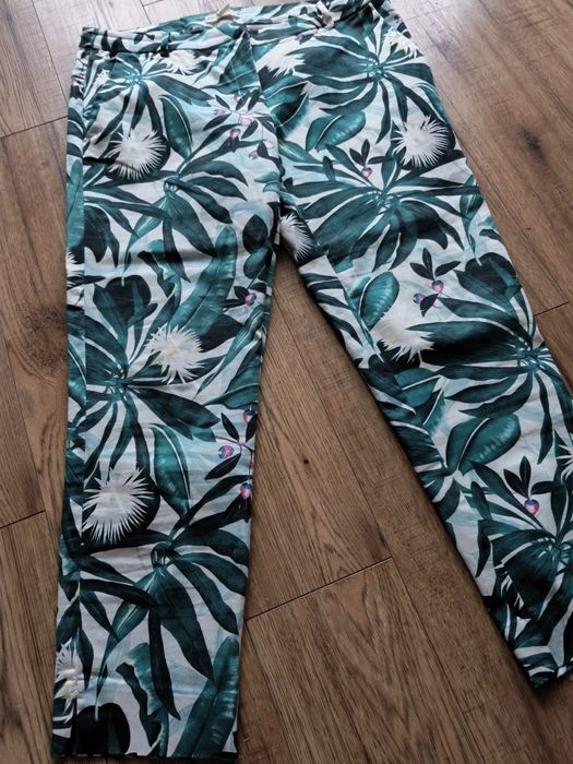 Chinosy w liście rozm. 44