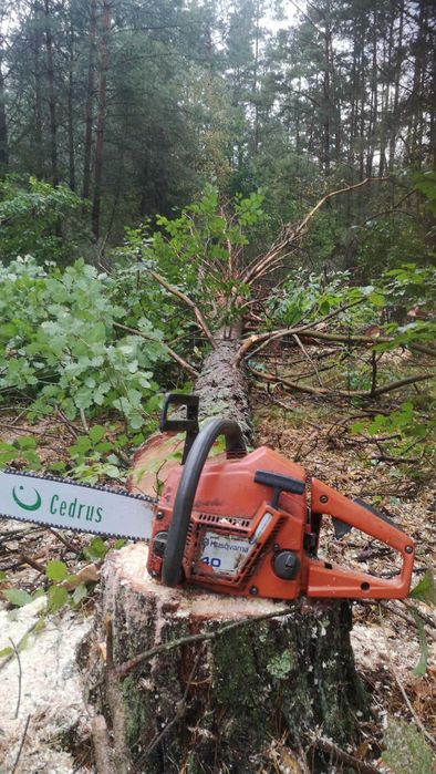 usługi ogrodnicze, wycinka drzew