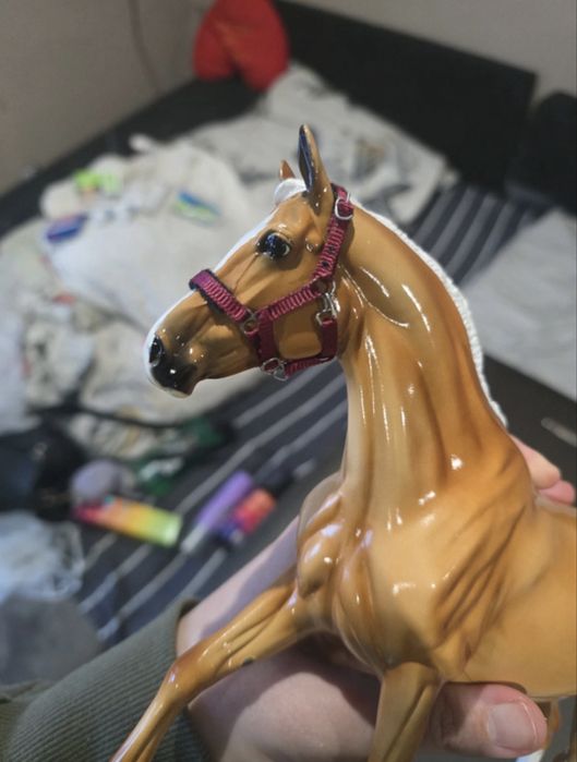 Breyer Traditional - Slainte Surprise Glossy