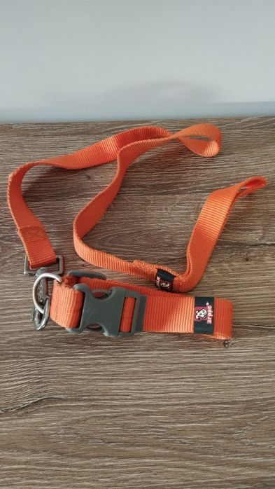 Duas trelas+ camisola de lã.