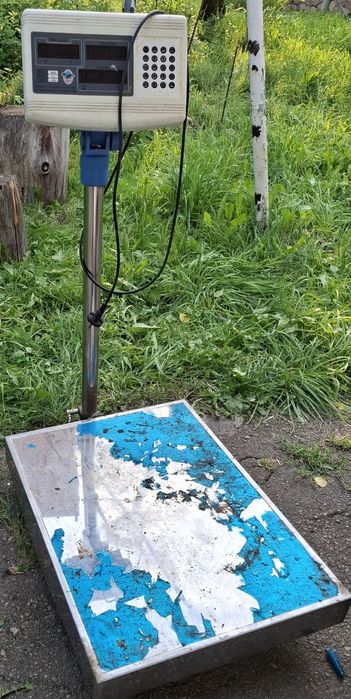 Ваги вантажні електричні