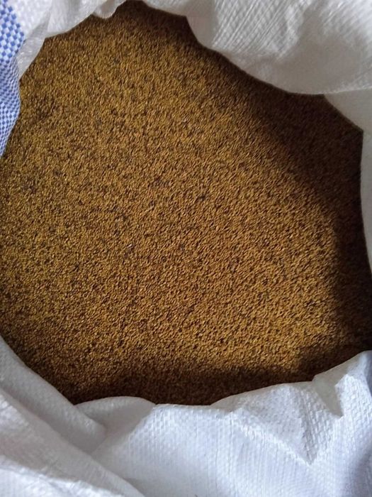 Lucerna na sprzedaż