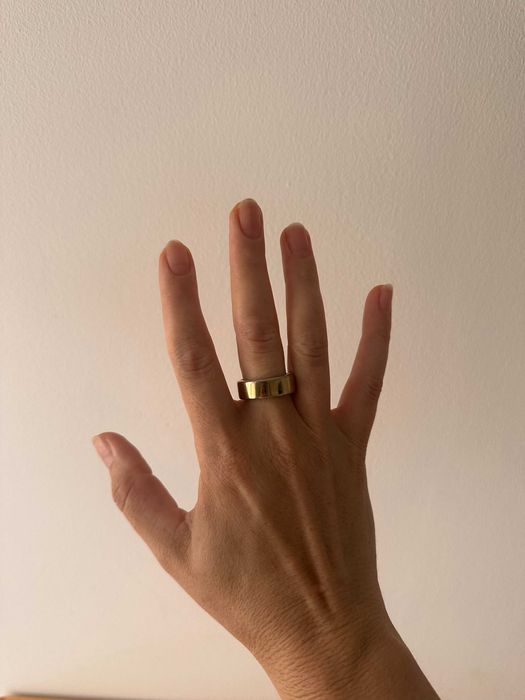 Oura Ring Gen3 Horizon Gold – Tamanho 8 + Carregador /Size 8 + Charger