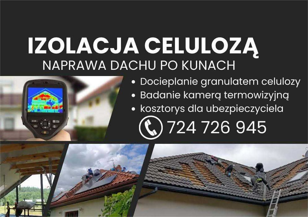 Naprawa izolacji po kunie, wdmuchiwanie celulozy, docieplenia izolacje