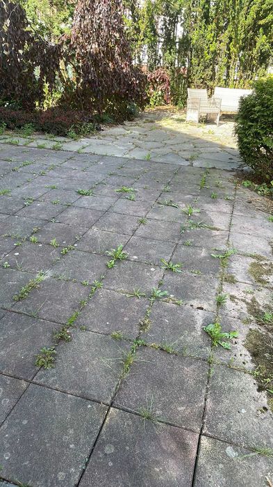 Usługi Ogrodnicze - W trosce o twój ogród