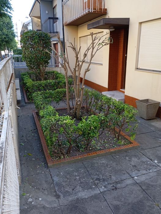 Prestação de serviços