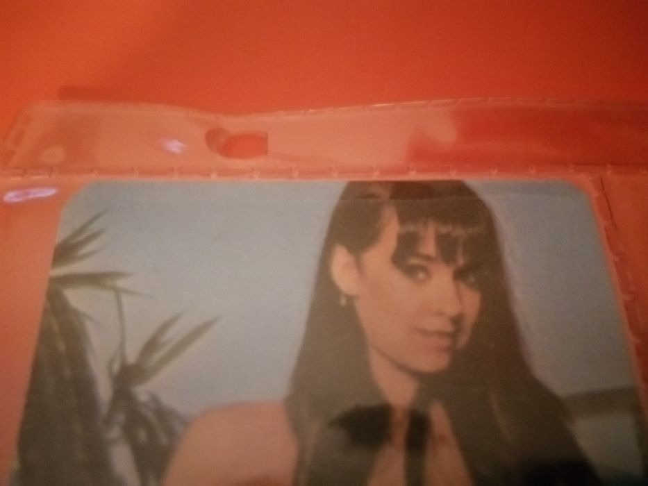 Calendários Eróticos (1984)