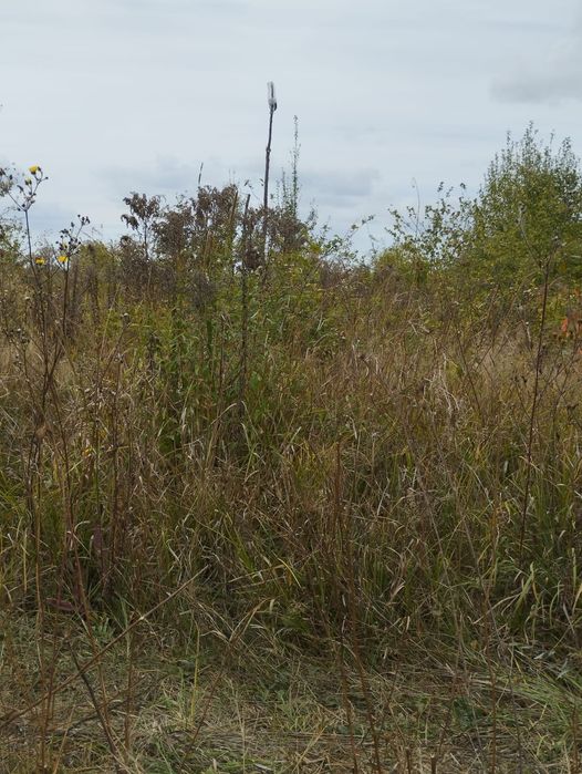 Ділянка 12с садівництво Лукашівка