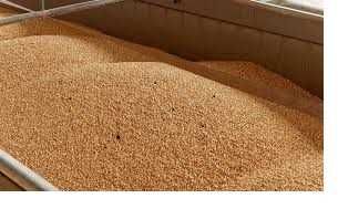 Продам пшеницю зерно ПШЕНИЧКА 2025р