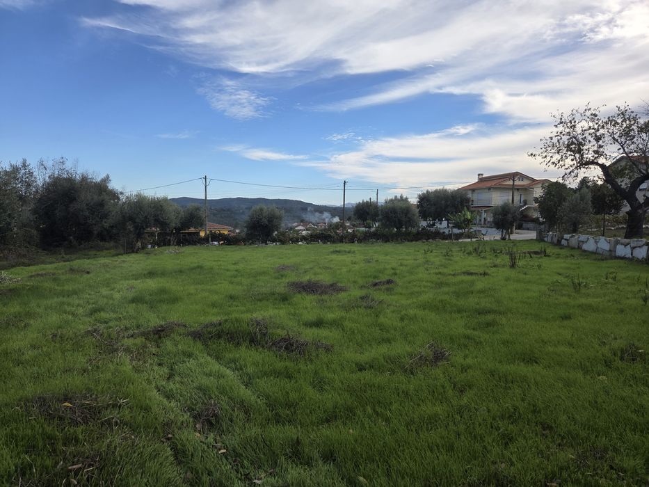 Selling buildable land - 1000 m² - Oliveira, Pindo