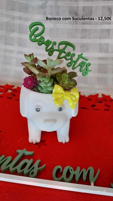 Kokedamas e Decoração artística - Plantas com Arte