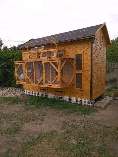 Gołebnik na rusztach