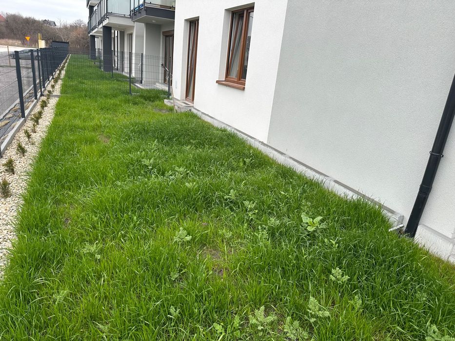 Zdjęcie 2