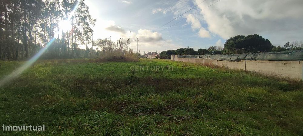 Terreno para construção na Moita, Marinha Grande — Moita, Leiria