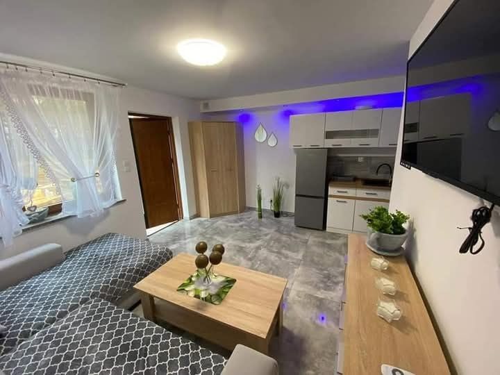 Domki letniskowe 4 osobowe  w lesie nad jeziorem Borek