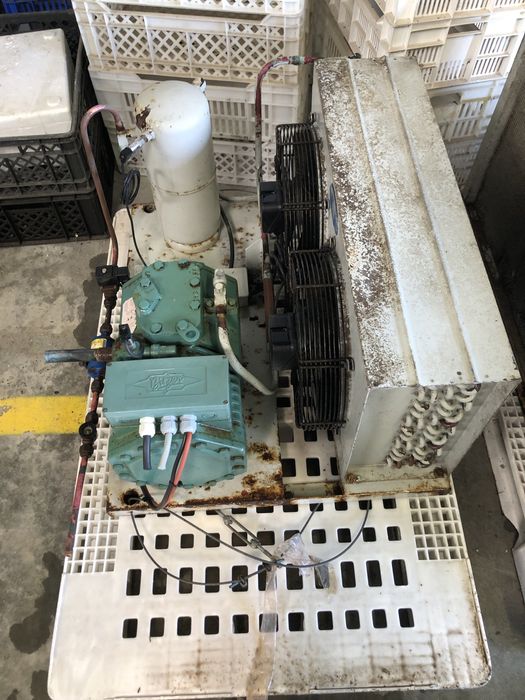 Motores para camaras de frio