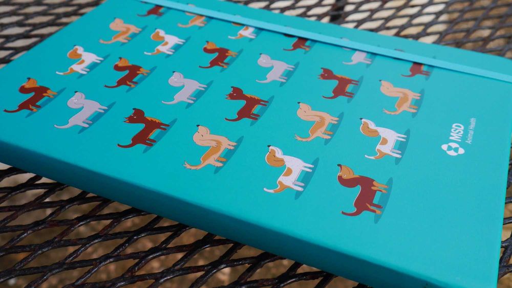 Cadernos Cães & Buenos Aires / Notebooks