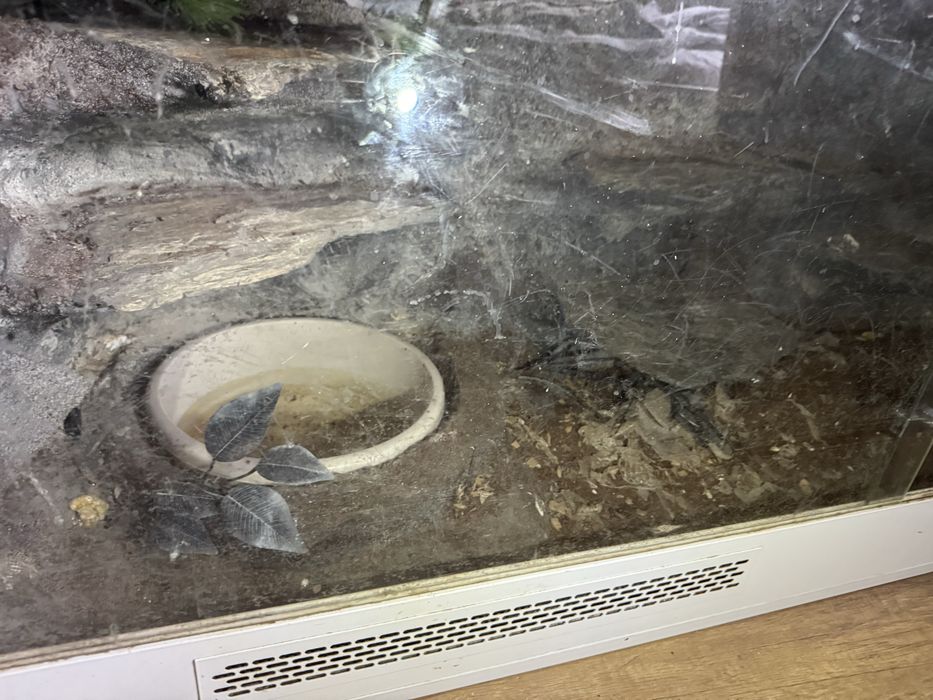 Terrarium  na gada podgrzewane 160 x 70 wys x 50 szer