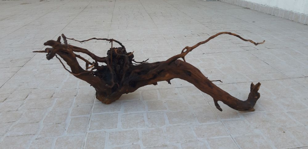 Aquário totalmente equipado com móvel reforçado