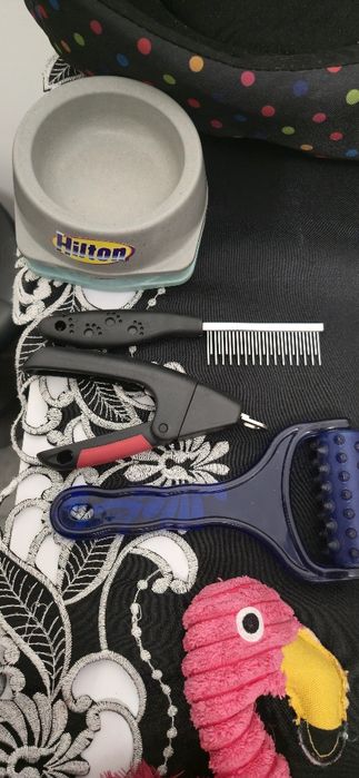 Zestaw dla małego pieska