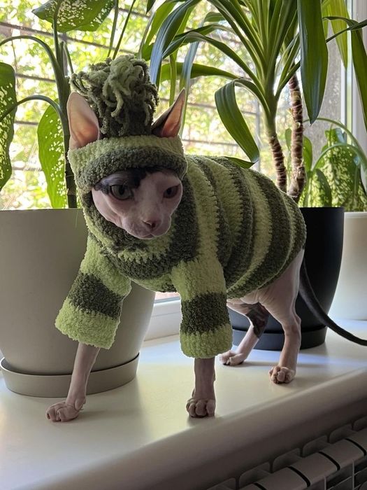 Плюшевые свитерки для котов и собак