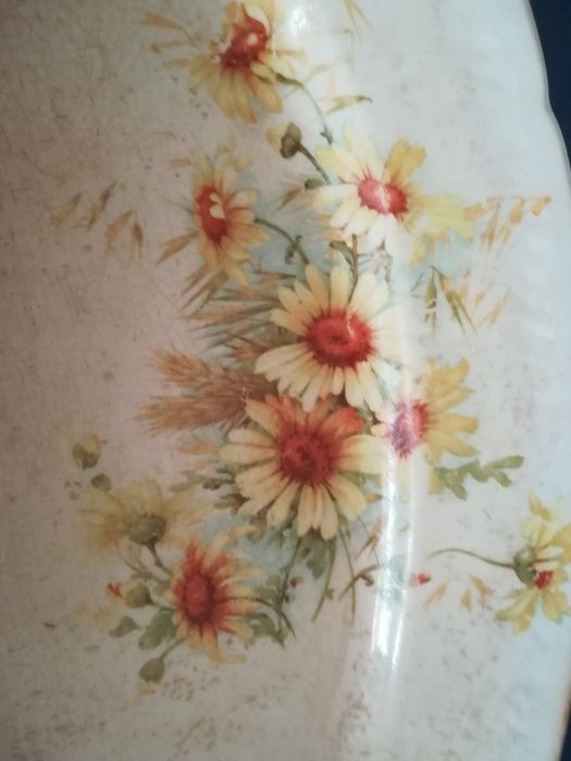 Travessas com malmequeres com molheira de oferta