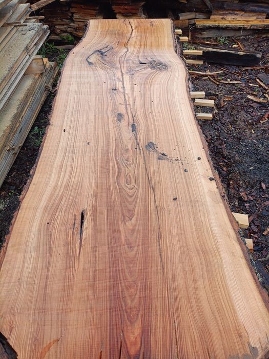 Blaty, monolity dębowe/ jesionowe