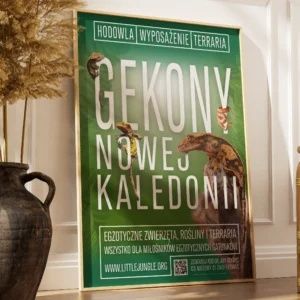 Grafik Komputerowy | Strony WWW | Montaż Wideo | Profesjonalne Projekty