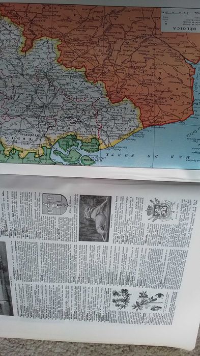Dicionário  Enciclopédico Lello Universal (2 volumes)