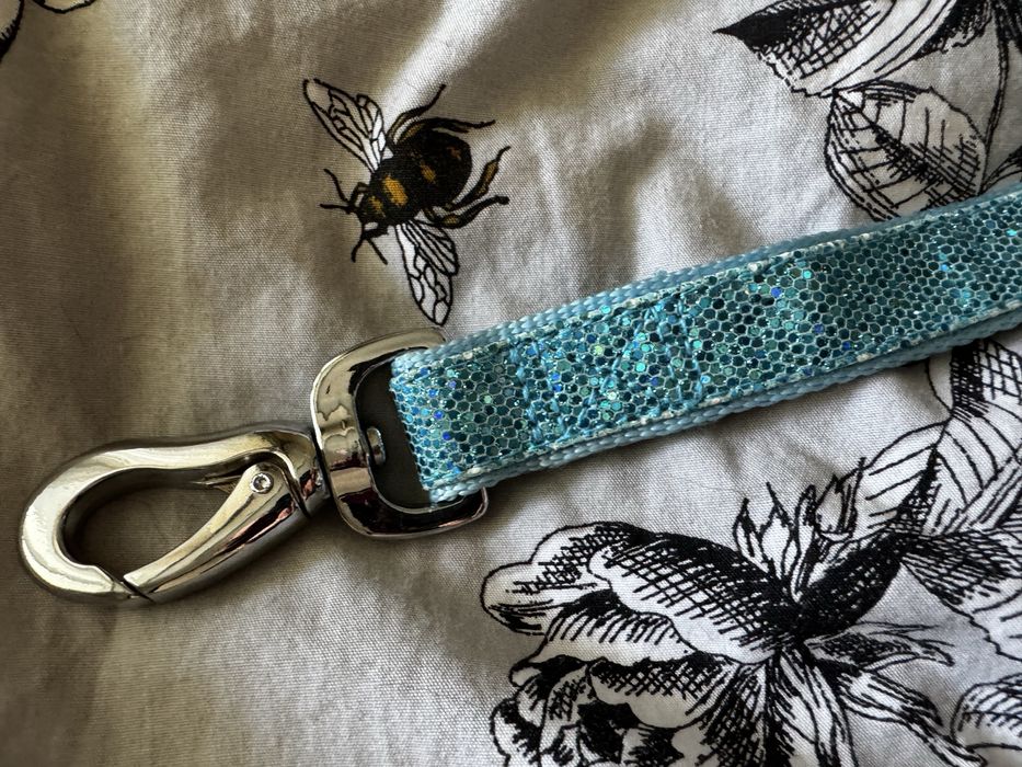 Поводок и ошейник