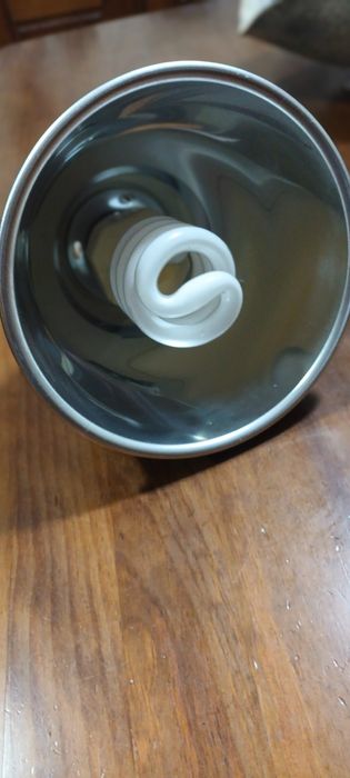 Lâmpada com suporte para répteis