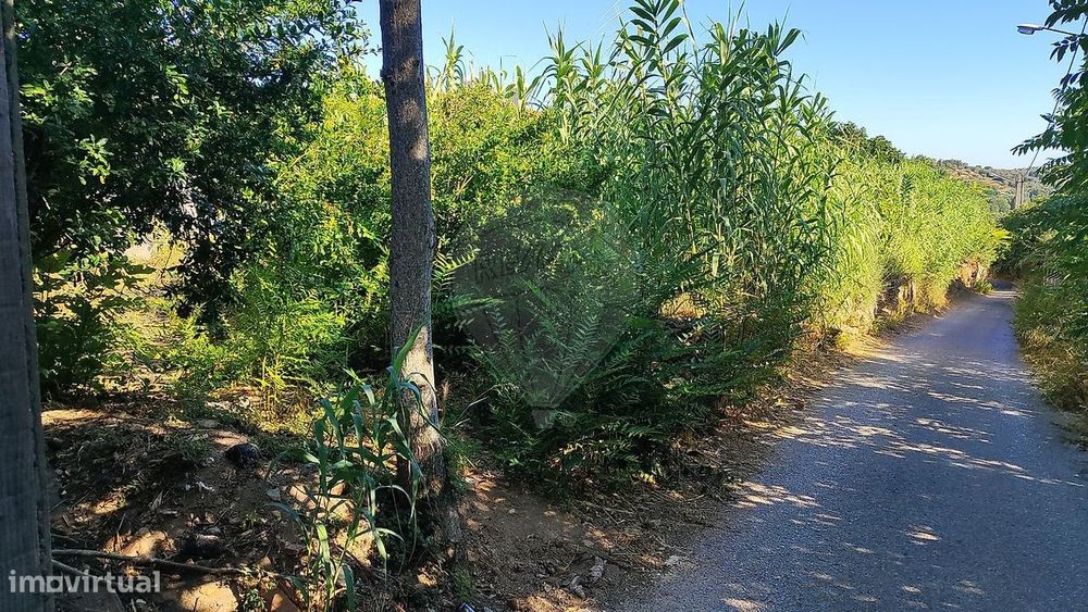 Terreno  para venda
