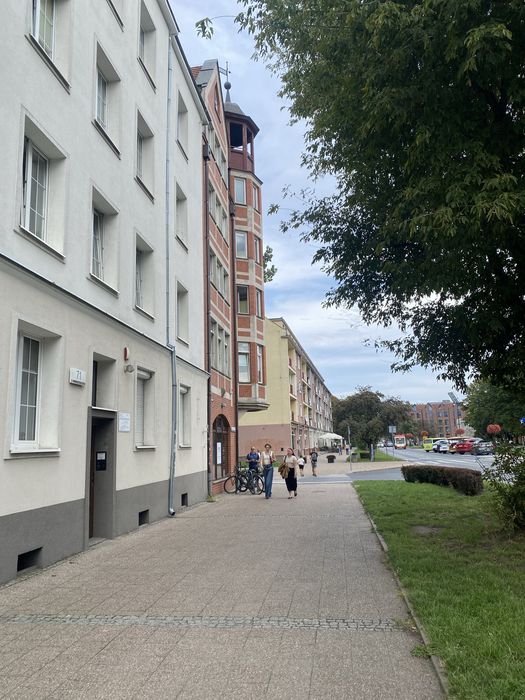 Zdjęcie 7