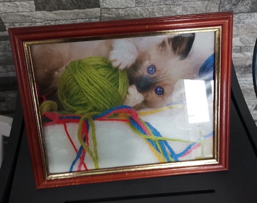 Moldura / quadro