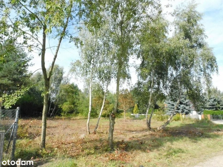 Gruszczyn, działka budowlana