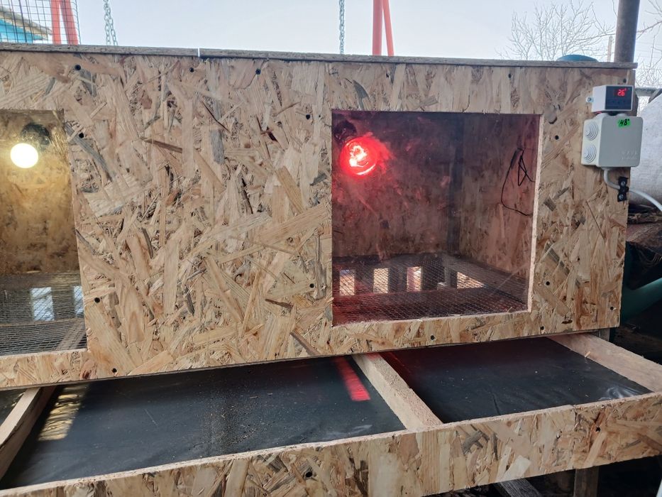 Брудер для бройлерів