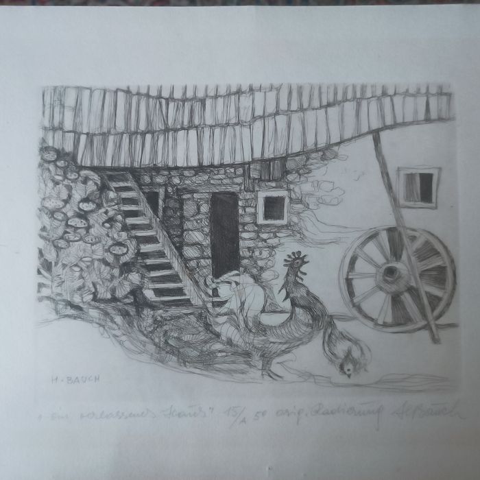 Grafika H. Bauch