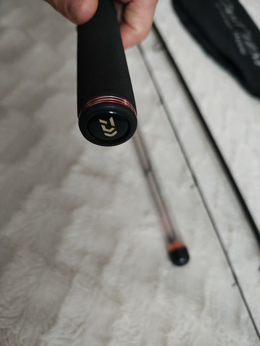 Daiwa Castizm Feeder 4,32m, 120g