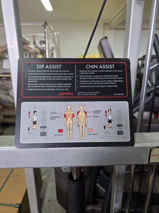 Life Fitness Easy Chin Dip