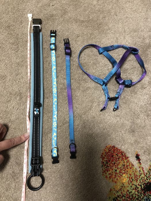 Нашийник для цуценят