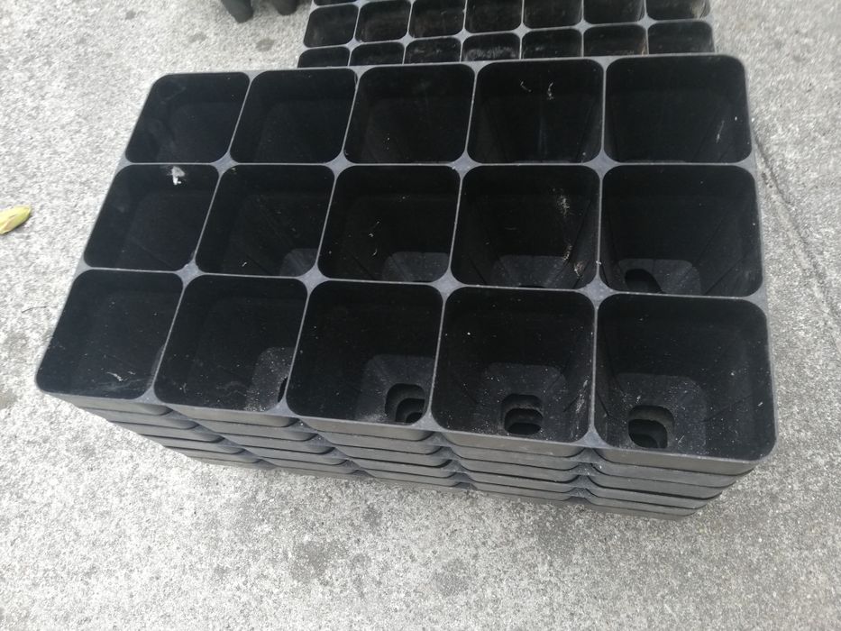 Tabuleiros  de sementes