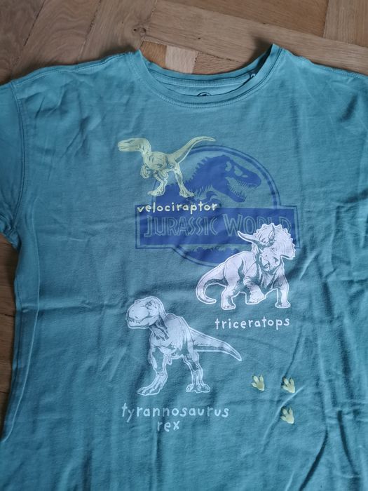 Tshirt  dinozaury
