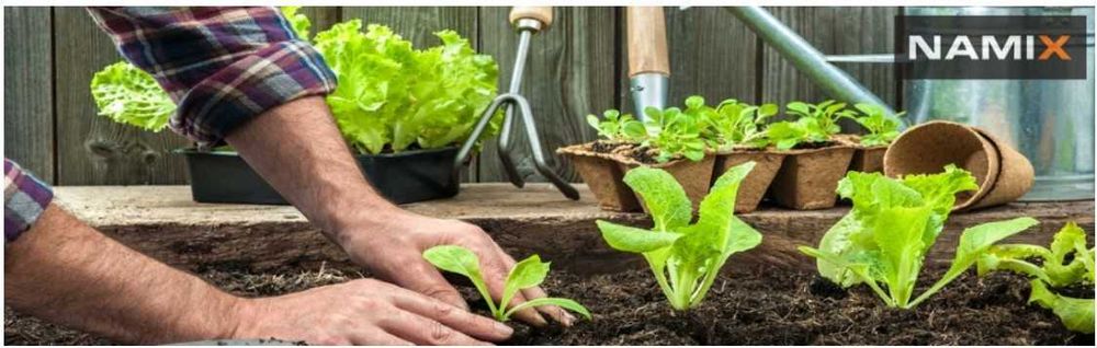 OUTLET Tunel foliowy szklarnia 3x4 m 12m² wysokość 2,5m